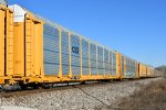 TTGX 709339